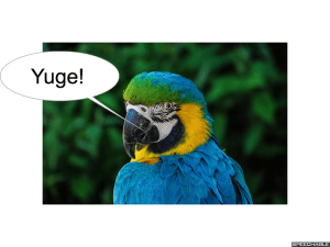 nod-pmurts-parrot-yuge