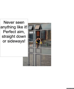 window-washer-parrot