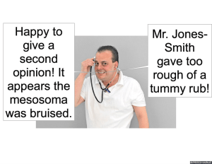 athol-physician-wasp