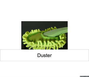 duster-photo-2