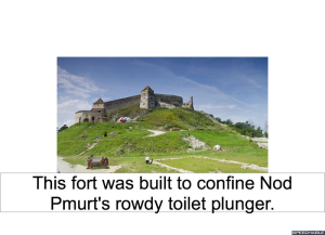 fort-toilet-plunger