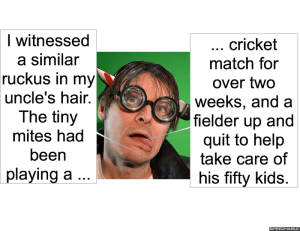 animal-safari-hair-stylist-mites