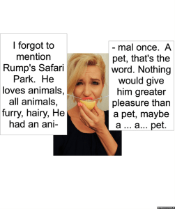 deli-ann-yawnway-pet