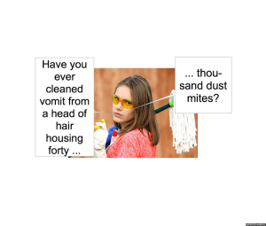 dust-mite-maintenance-vomit