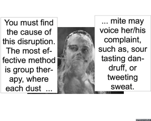 hsdr-director-dust-mite