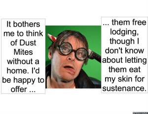 animal-hair-stylist-mites