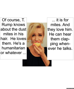 deli-ann-yawnway-mites